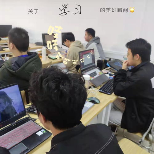 Java136期学习日记 在黑马程序员技术交流社区的成长与思考